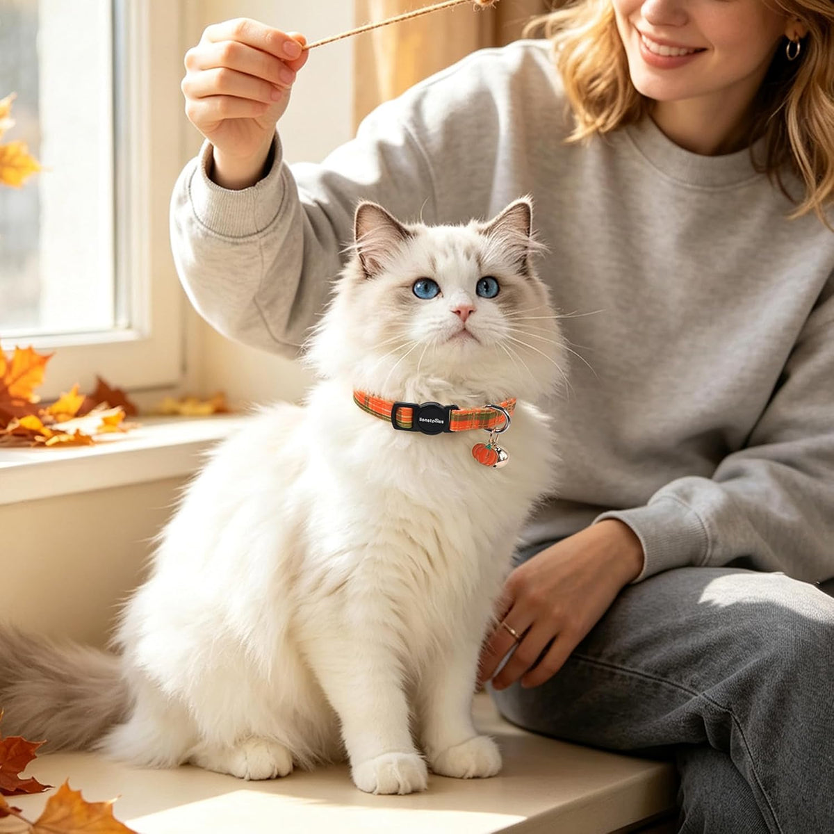 LIONET PAWS 2 Pack Breakaway Cat Collars, Cute Soft Cotton Halloween Orange Pumpkin Ghost & Fall Plaid Kitten Collars with Bell & Charm for Boy Girl Cats