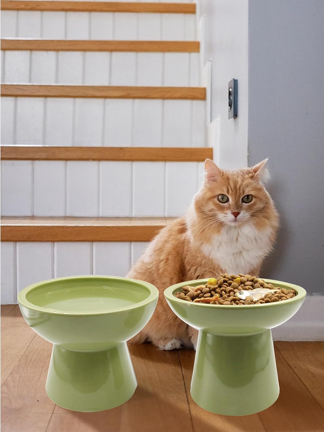 LoeJan Elevated Food and Water Bowls Set, Extra Wide and Raised Ceramic Feeder, Anti-Vomit Whisker-Free Pressure Cat Bowl for Kittens to Adult Cats, Small Dogs (Green, Water Bowl)