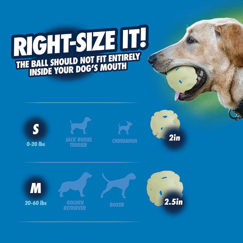 Chuckit! Air Glow Fetch Ball Dog Toy, Small (2 Inch), for Breeds 0-20 lbs, 2 Count (Pack of 12)