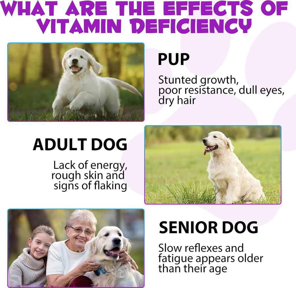 Dog Multivitamin Liquid Drops - 15 in 1 with Glucosamine, MSM & Cranberry, Supports Joint, Skin & Coat, Immune, Heart & Urinary Health, 2 fl oz