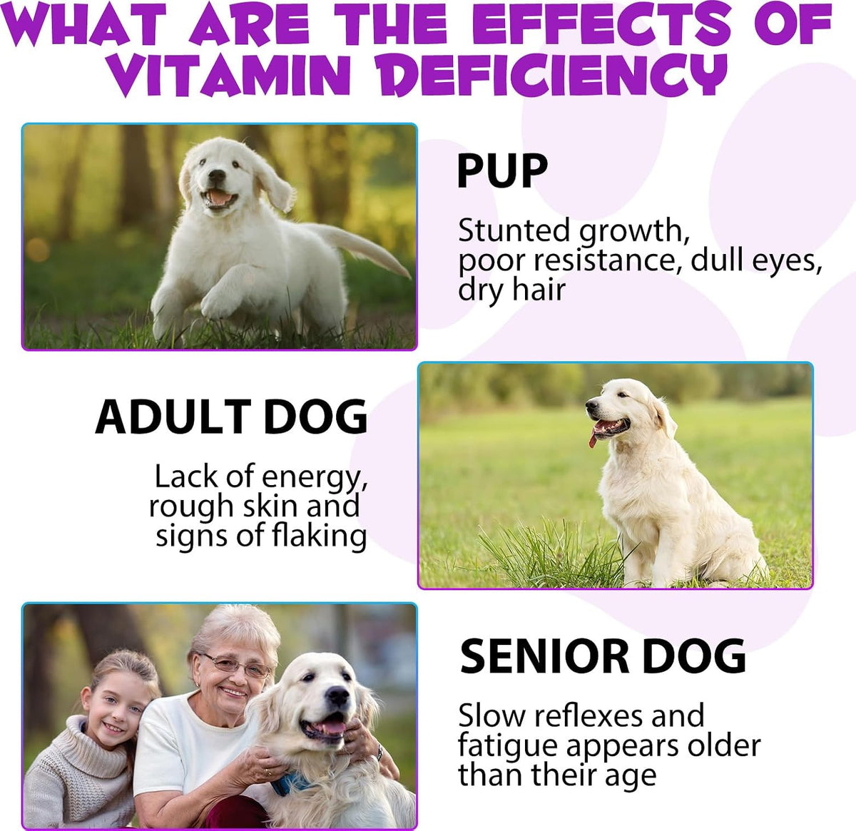 Dog Multivitamin Liquid Drops - 15 in 1 with Glucosamine, MSM & Cranberry, Supports Joint, Skin & Coat, Immune, Heart & Urinary Health, 2 fl oz
