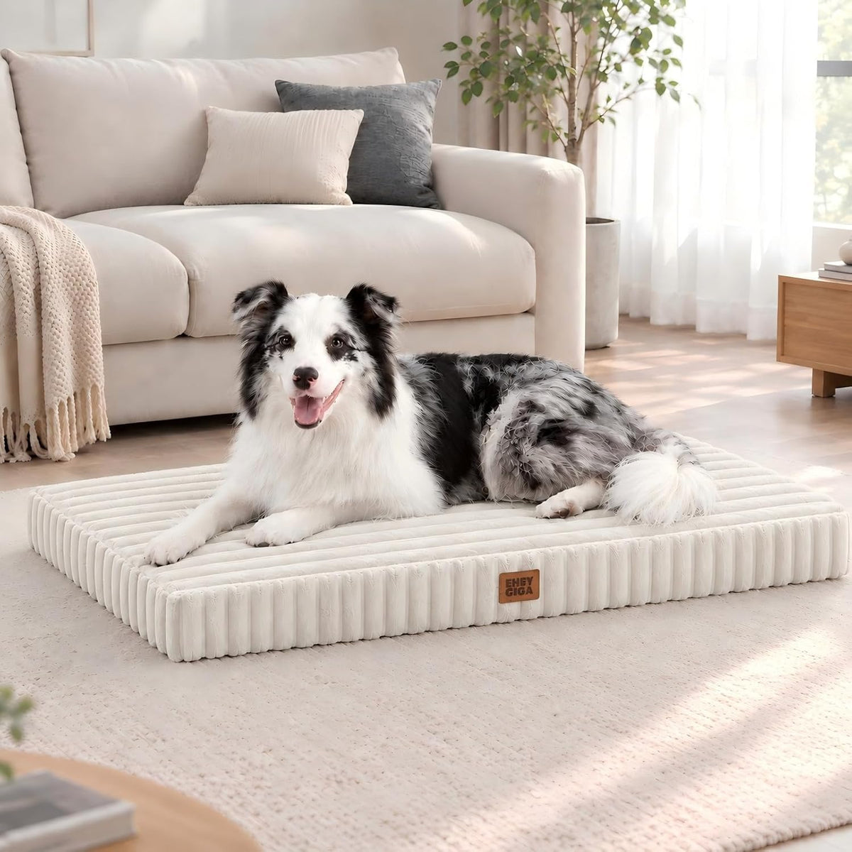 EHEYCIGA Orthopedic XL Dog Beds Large Sized Dog, 41"x27" Washable Pet Bed