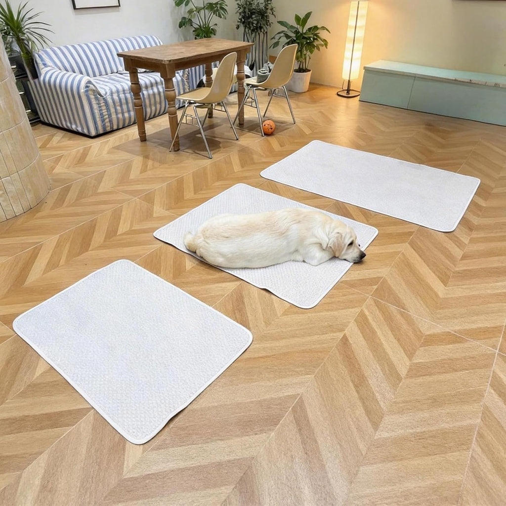 Large Dog Mat 46"x36", Washable Waterproof Non-Slip Thin Pad, L
