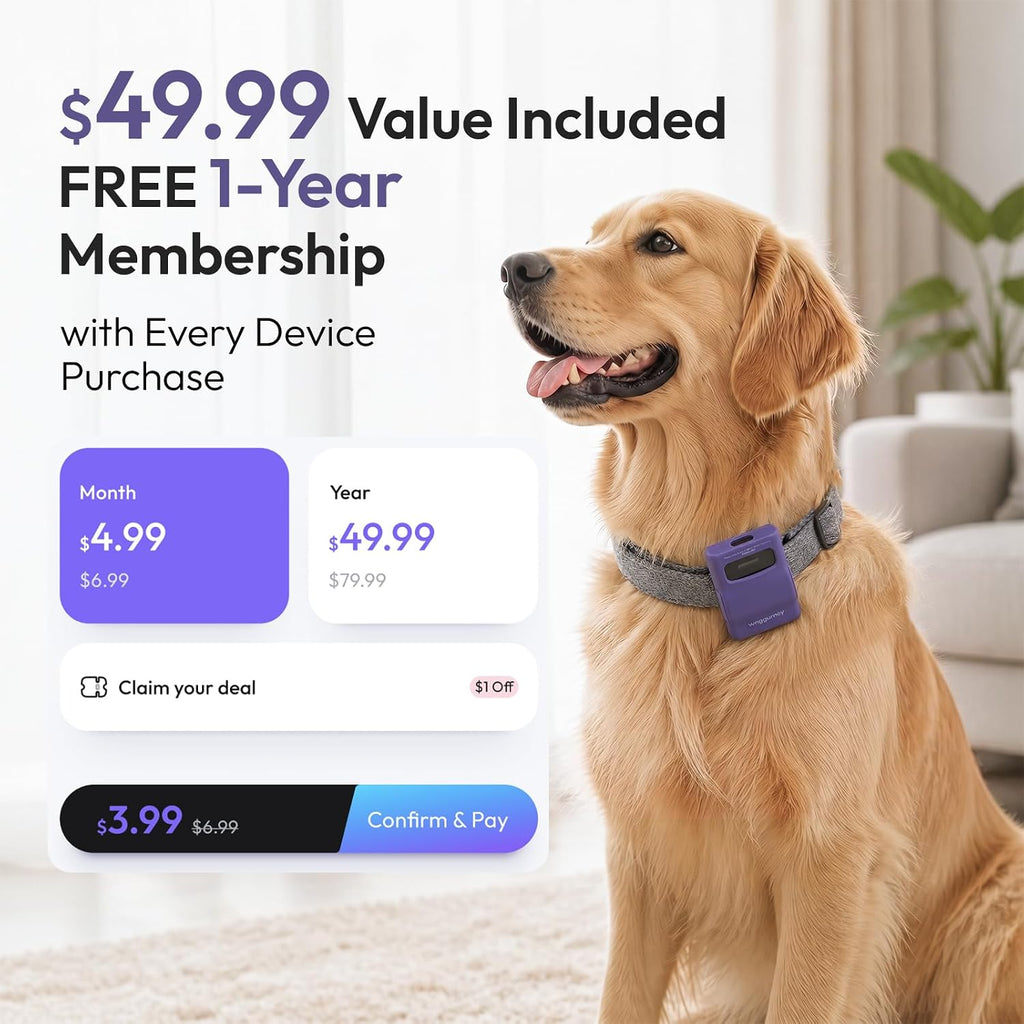 Pet Habit & Activity Smart Tracker, 4G LTE GPS Tracker for Dogs