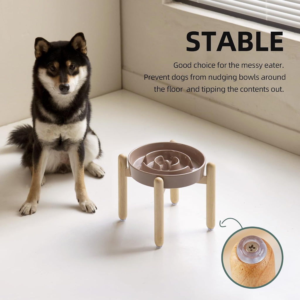 Havniva Elevated Slow Feeder Dog Bowls, 8.3 in Ceramic Slow Feeder Bowls