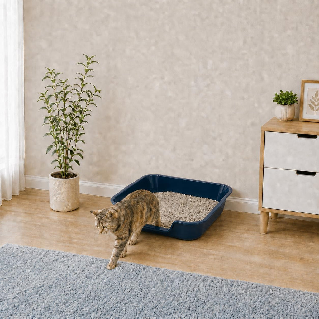 Extra Large Low Entry ABS Cat Litter Box, Blue, 24" L x 20" W, 1 Pack | Durable low entry litter box, non-stick, odor-free, ideal for seniors, kittens, rabbits, large cats and multi-pet homes.