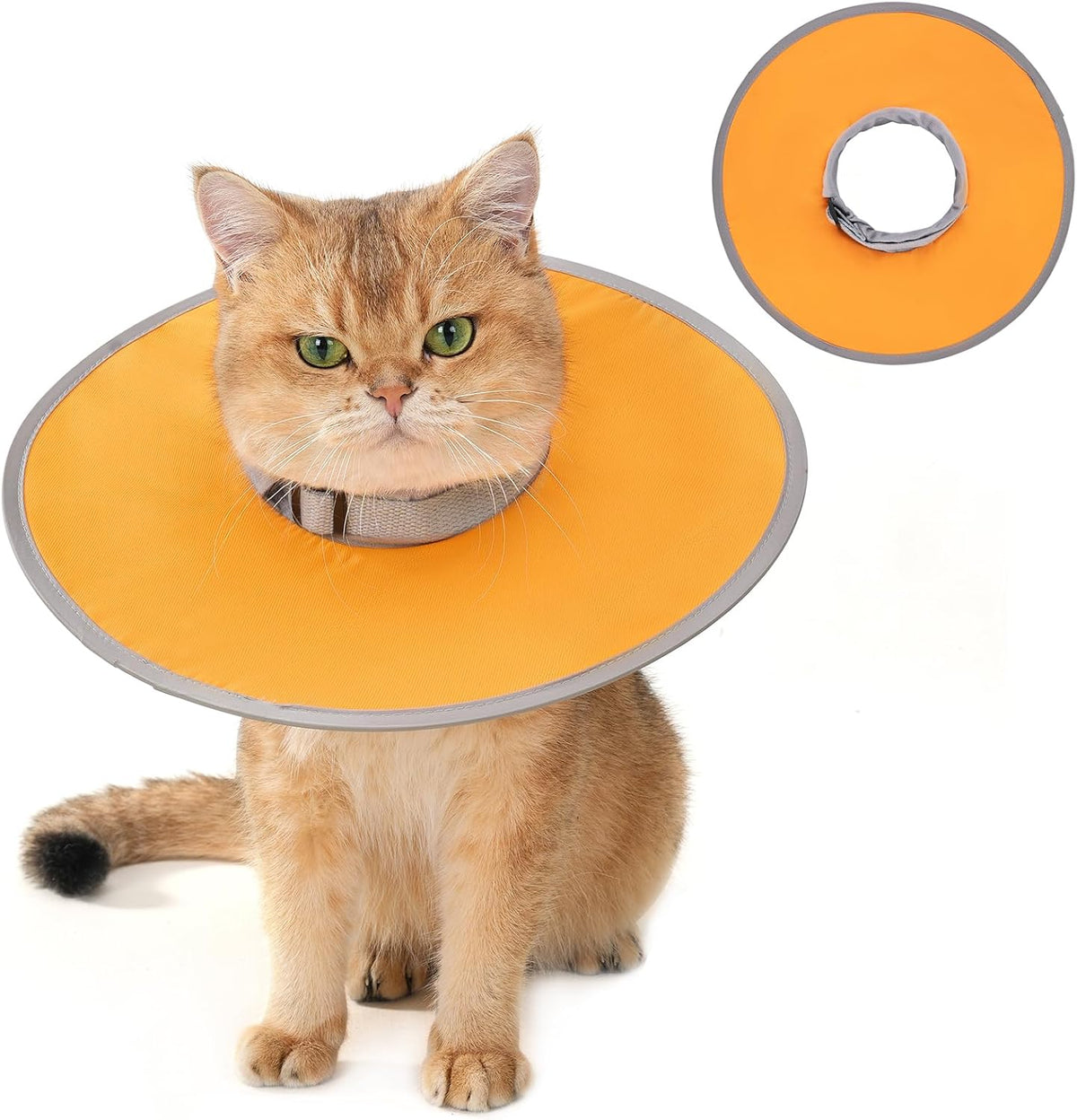 Avont Lightweight Waterproof Foldable Cone, Soft E-Collar - M Orange