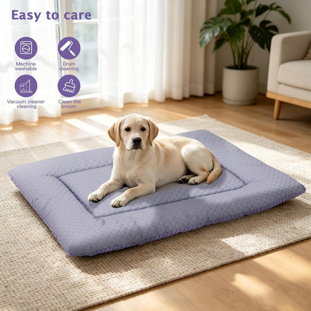 Dog Bed Mat, Crate Pad Reversible,Soft Kennel Washable Crate Mat (Cool and Warm),Pet Sleeping Mattress for Small Medium Dogs XB009 (18''x13'',Corn Velvet Purple)