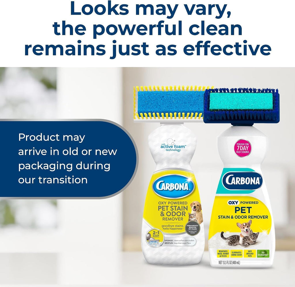 Carbona Oxy-Powered Pet Stain & Odor Remover, 2-in-1 Foaming Carpet Cleaner with Built-In Brush, Targets Urine, Vomit, Mud Messes from Dogs, Cats, 13.5 Oz (Pack of 3)