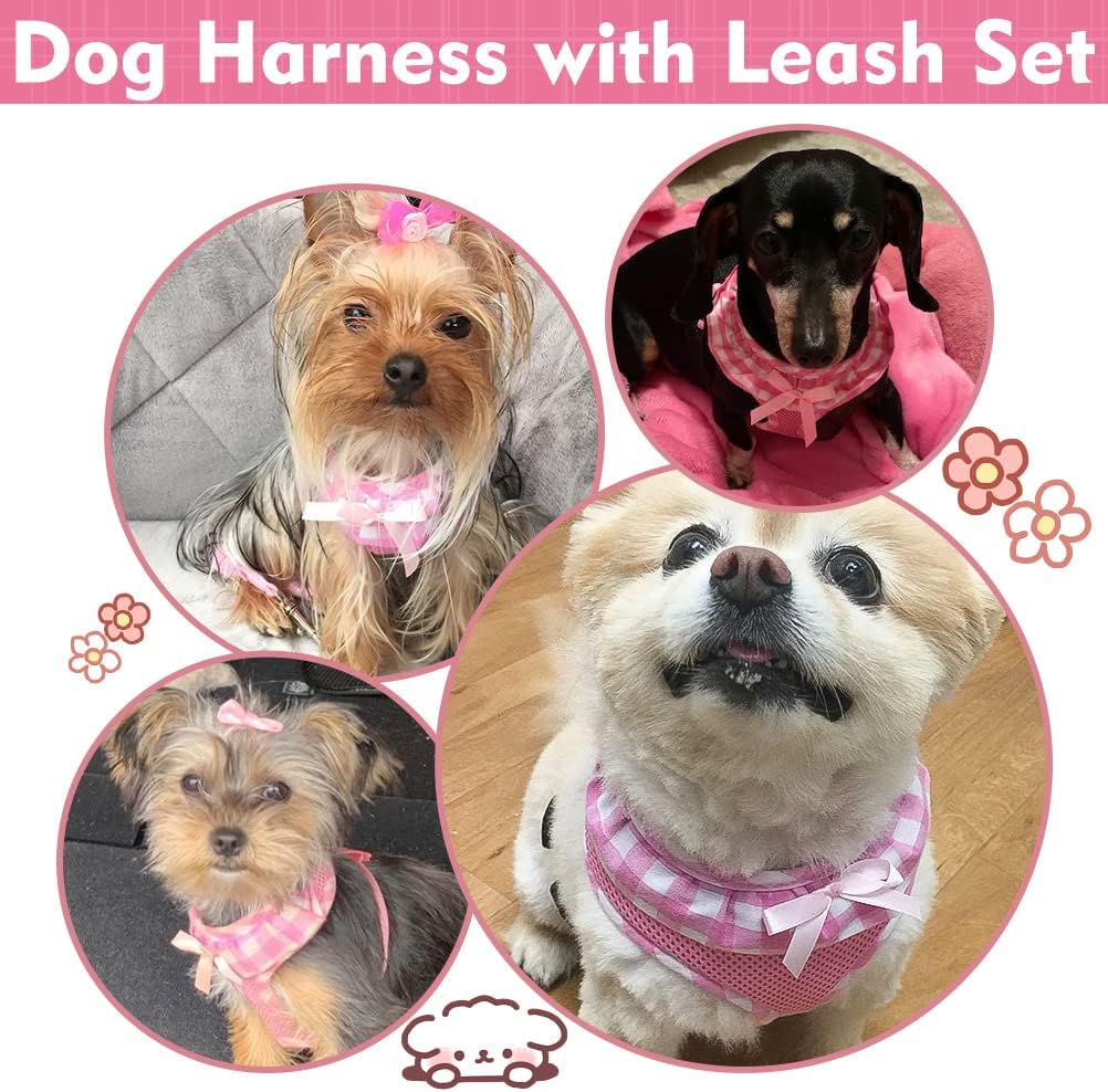 EXPAWLORER Step-in Small Dog Harness and Leash Set, Pink XS