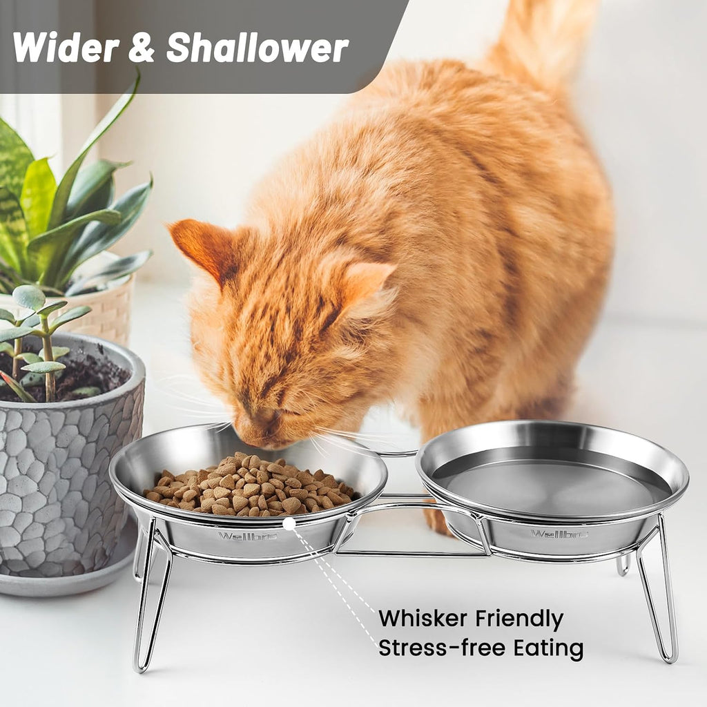Elevated Cat Bowls, Wide Stainless Steel Cat Food Bowls with Metal Stand Whisker Stress-Free, Raised Food and Water Dish for Cats, Kitten, Puppies and Small Dogs