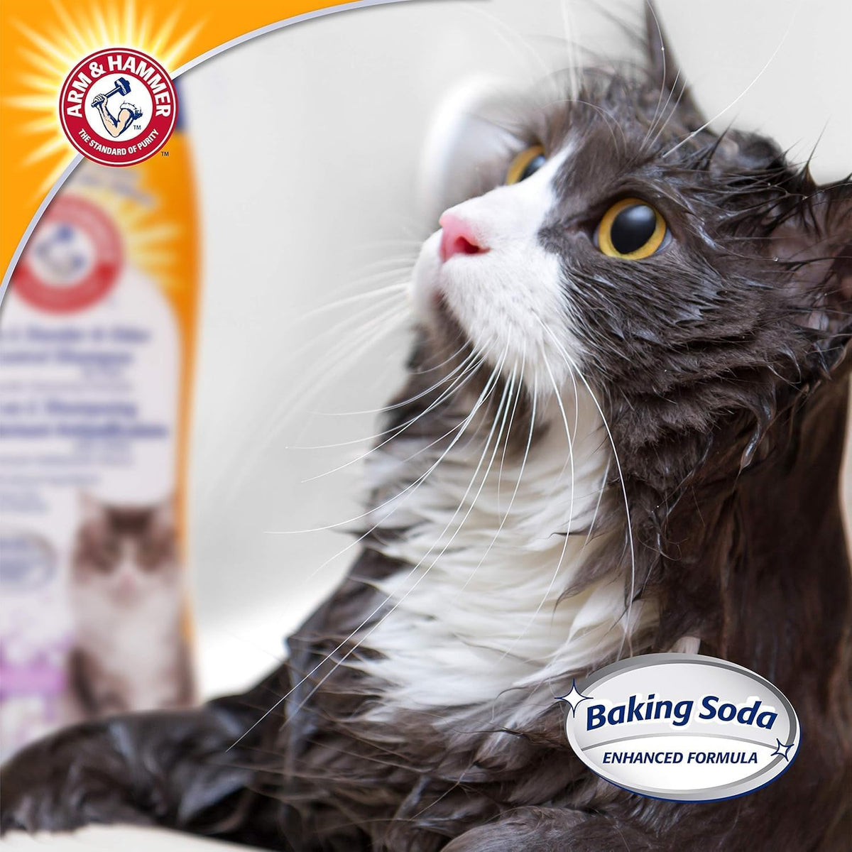 Arm & Hammer 2-in-1 Deodorizing Cat Shampoo, Lavender, 20 Fl Oz, 2-Pack