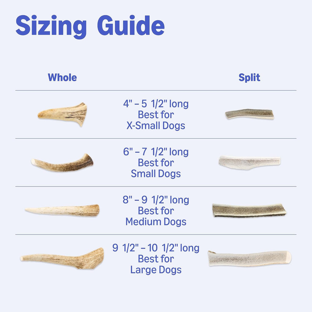 Amazon Basics Dog Deer Antler Chew, Naturally Shed, Whole, 9-10.5 inches, Long Lasting for Aggressive Chewers, X-Large, Best for Dogs Over 45 lbs (Previously Wag)