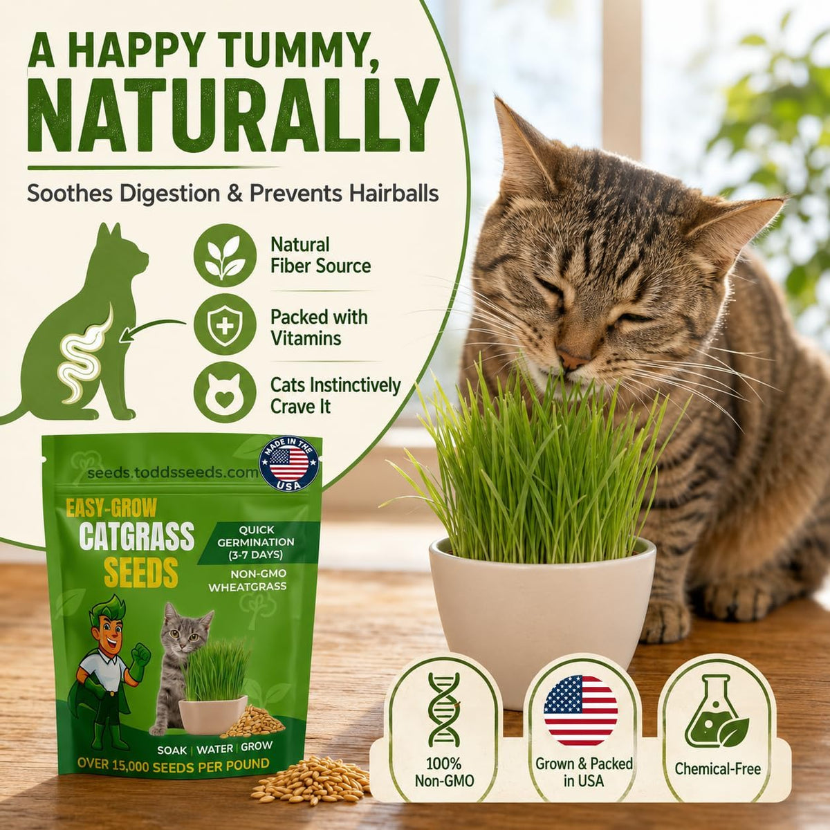 Todd's Seeds Cat Grass Wheatgrass Seeds, 1/2 lb - Non-GMO, Pet Safe
