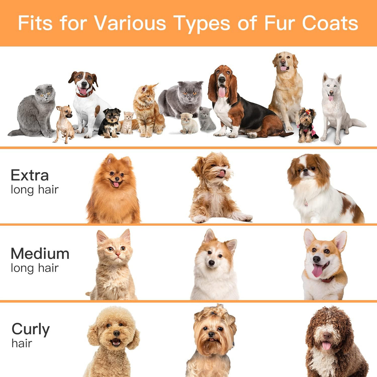 Fixr Pet Grooming Vacuum & Dog Hair Vacuum, 12000Pa Powerful Pet Grooming Kit with 2L Large Dust Cup, Low Noise Dog Vacuum for Shedding Grooming Hair, 3 Suction Levels, 5 Grooming Tools
