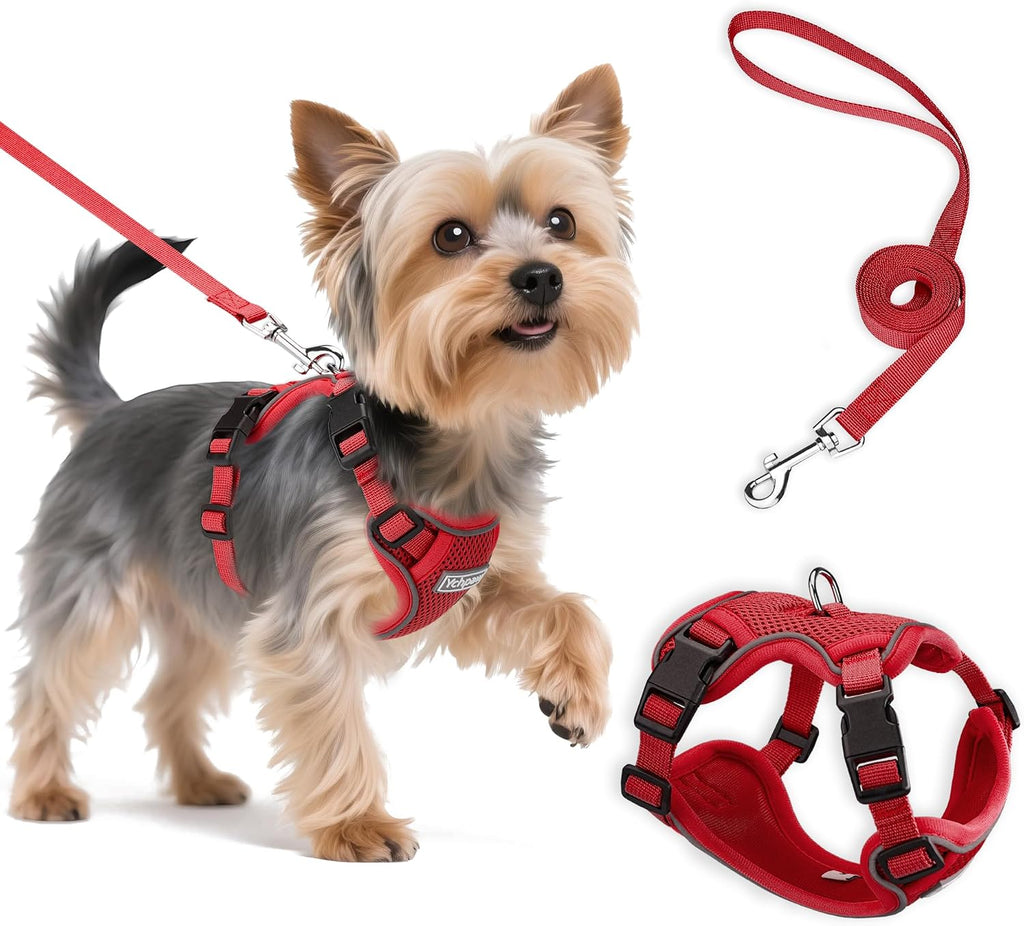 Small Dog Harness and Leash Set, Adjustable Small Sized Pet Vest