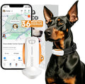 DBDD GPS Tracker for Dogs with 36 Month Subscription, Real-Time Location, Electronic Fence, Health Monitoring, Waterproof, for Medium Large Dogs, iOS Android