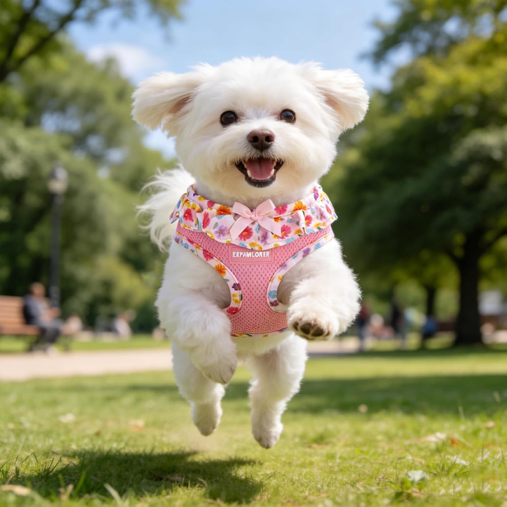 EXPAWLORER Step-in Small Dog Harness and Leash Set, Pink Floral M
