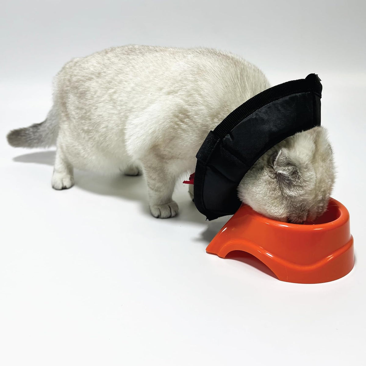 Cat Cone Collar - Soft Adjustable Cat Elizabethan Healing Collar – Lightweight Wound‑Protection Neck Cone for Licking/Biting Prevention, Fits Neck 6.5″–10.5″, Ideal Post‑Surgery & Injury Care