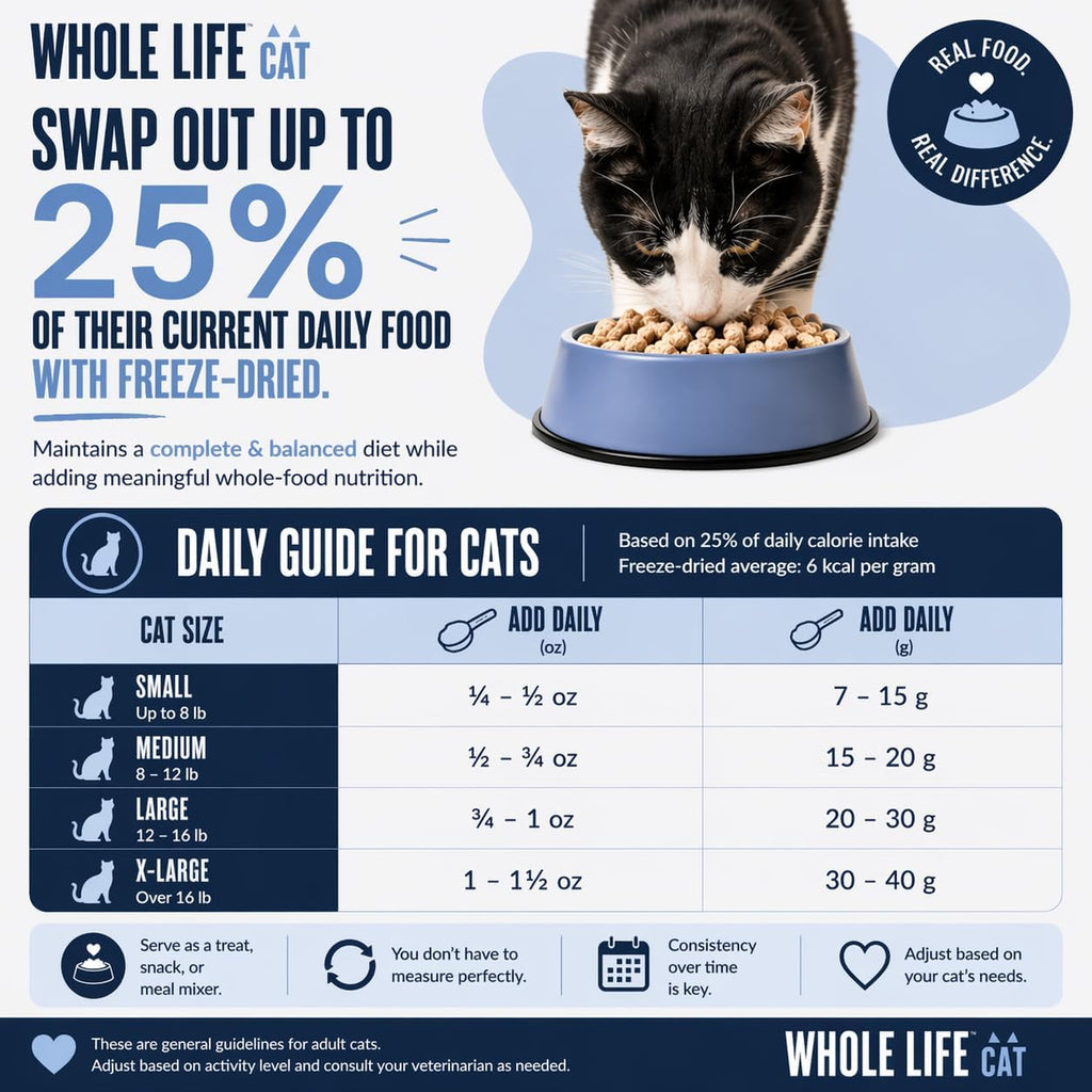 Whole Life Cat Just One Salmon Freeze Dried Cat Treats - 7.5 oz (Pack of 1)