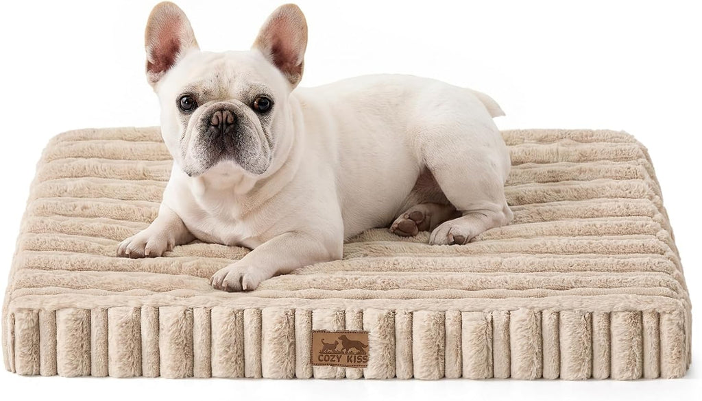 COZY KISS Orthopedic Washable Dog Bed for Small Dogs, Removable, Beige