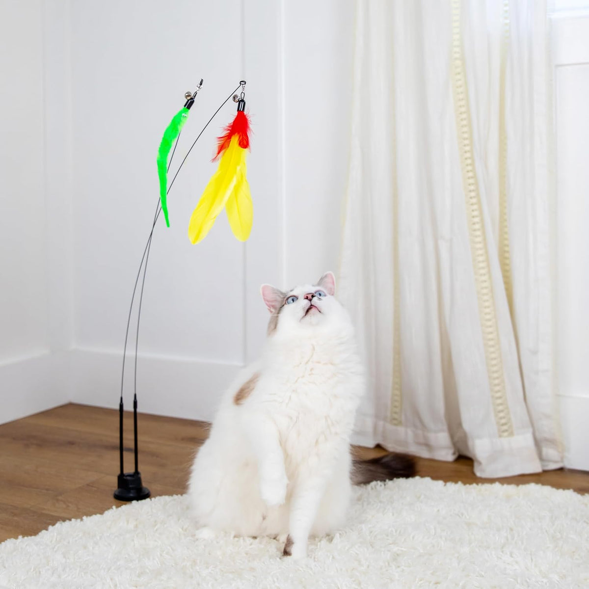 Cat Toys For Indoor Cats: Interactive Cat Toy Wand, 9 Feathers Wand Lures