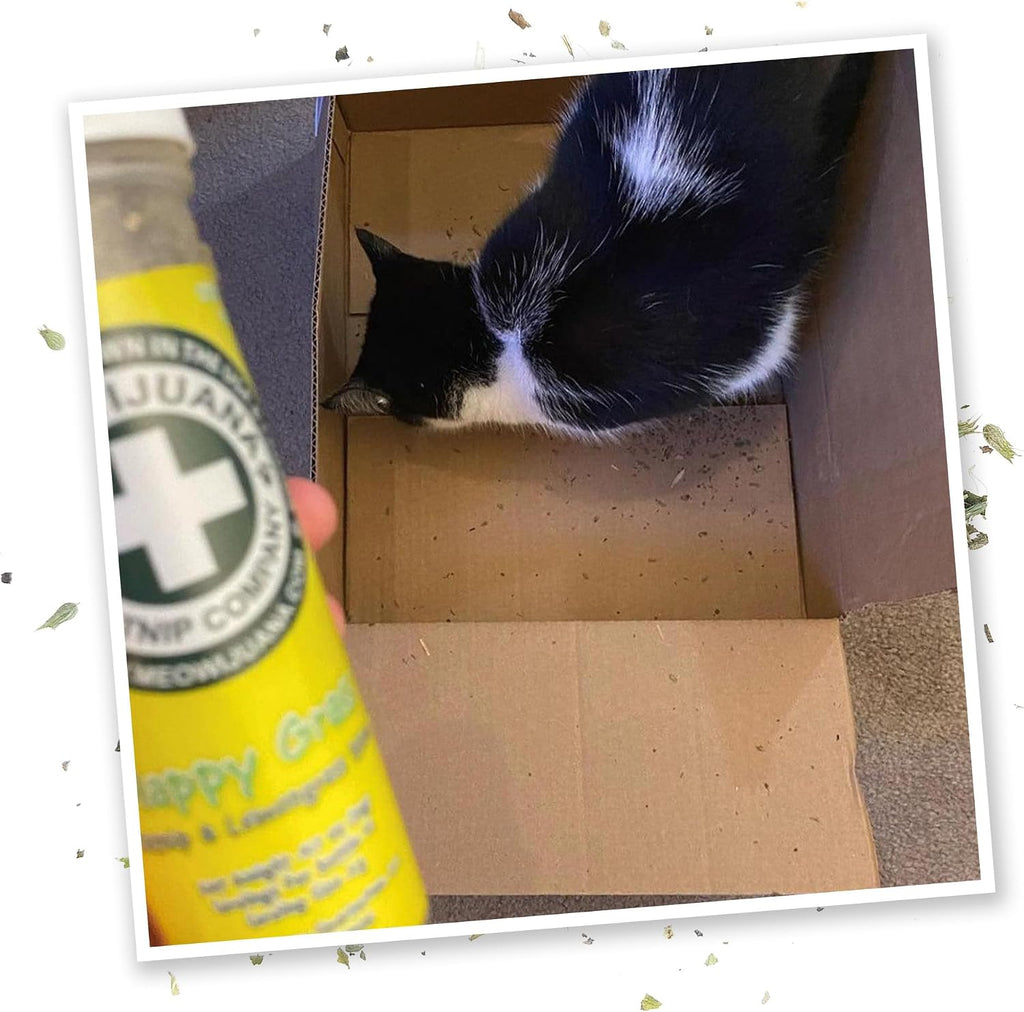 Meowijuana Jump 'n' Jamb Monkey Cat Toy and Catnip Blend | High Potency
