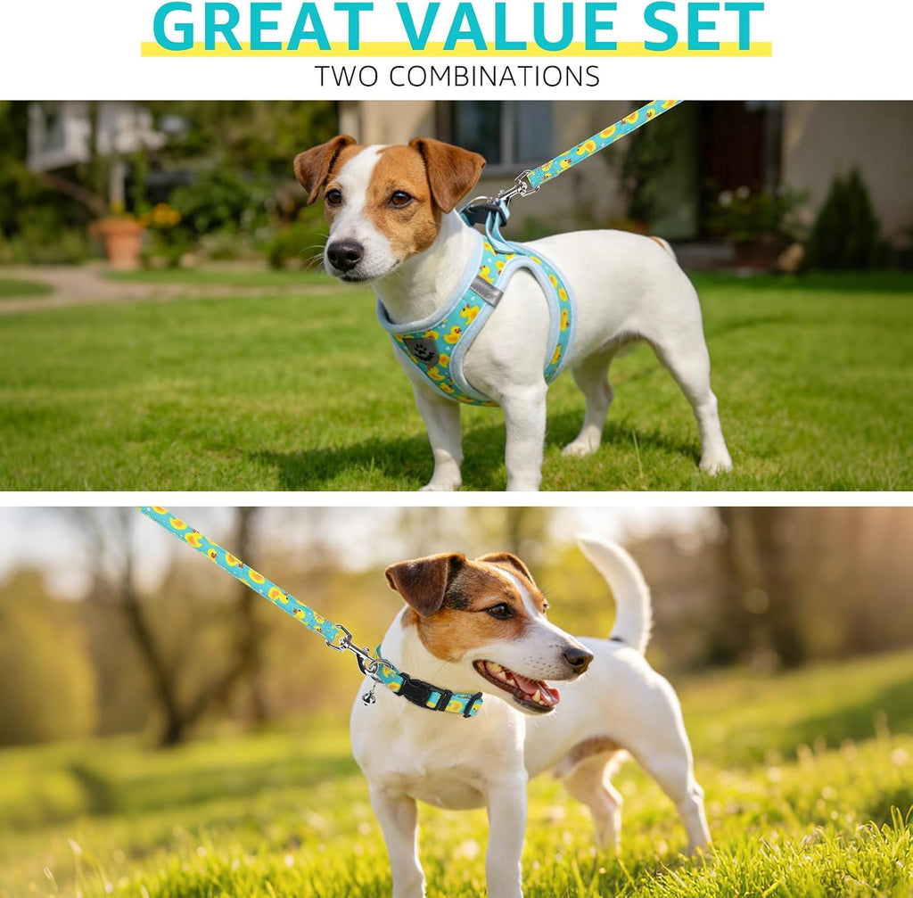 SCENEREAL Small Dog Harness Collar and Leash Set,Cute Puppy Harness No Pull