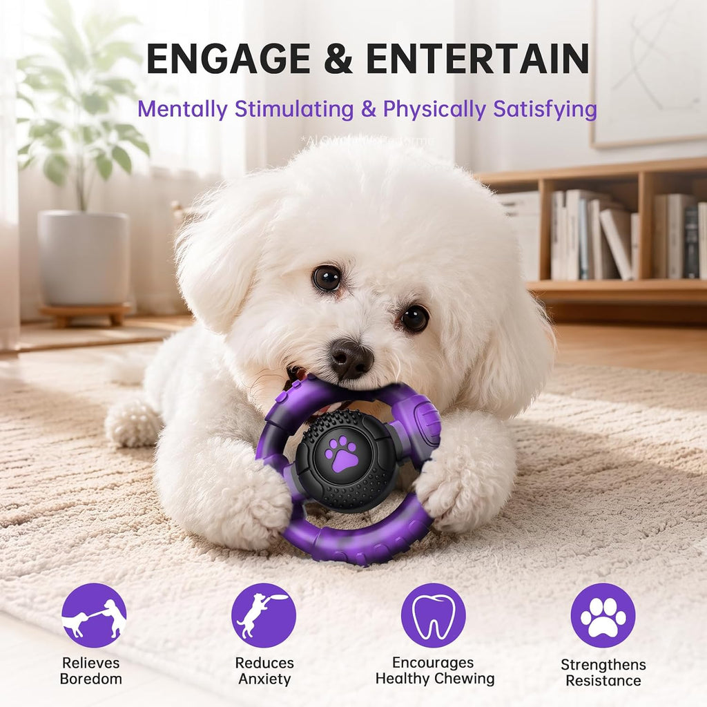 Pamlulu Small Dog Chew Toy, Tough Squeaky Puppy Chew for Small Breeds, Rubber and Nylon Design, Indoor and Outdoor Play, Birthday Gift