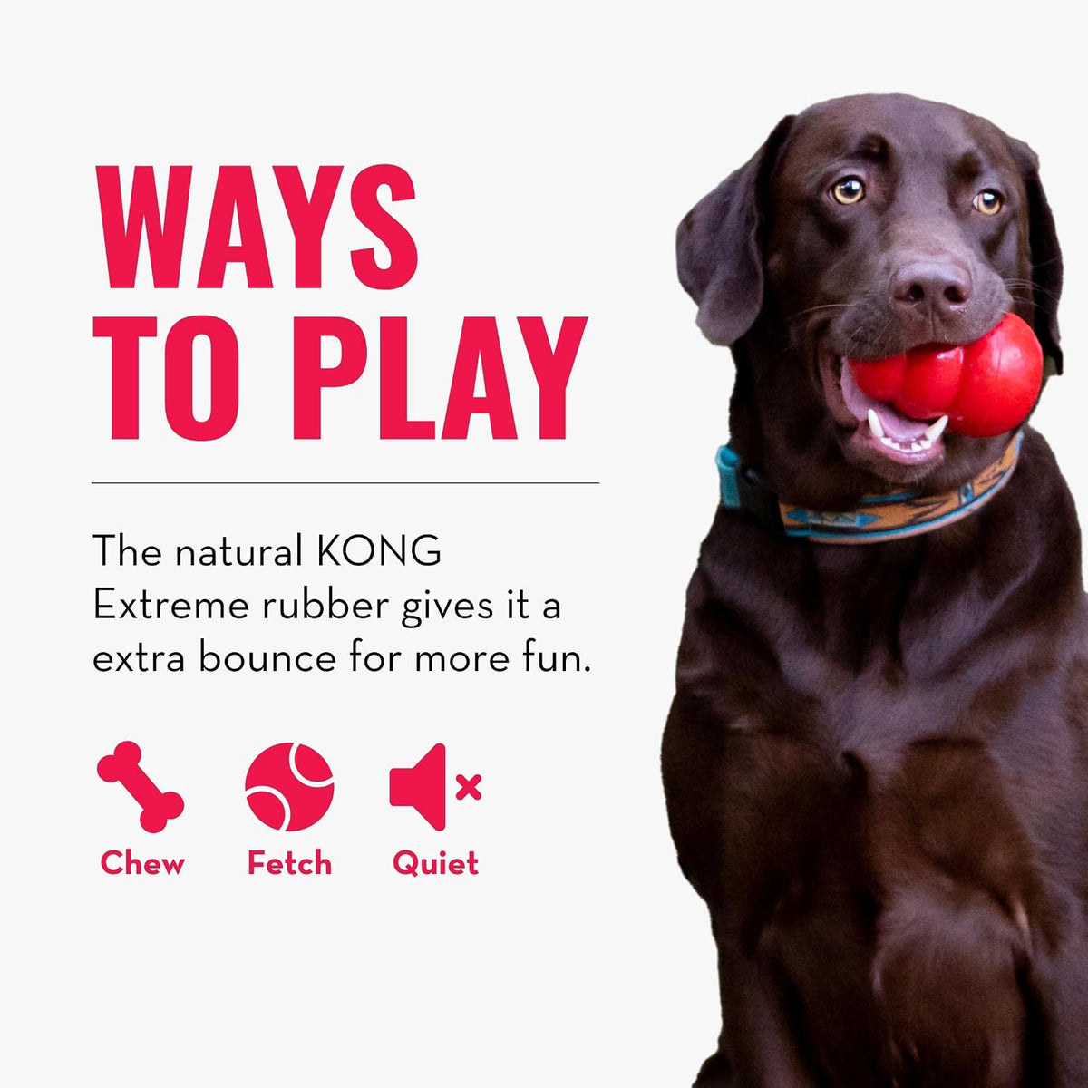 KONG Extreme Ball, Indestructible Rubber Dog Ball, for Small Dogs | Heavy-Duty Indestructible Rubber Ball Built for All-Day Fetch & Chase, Made for Tough, Active Outdoor Play