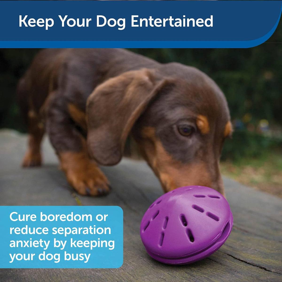PetSafe Busy Buddy Twist 'n Treat Dispensing Dog Toy, Small