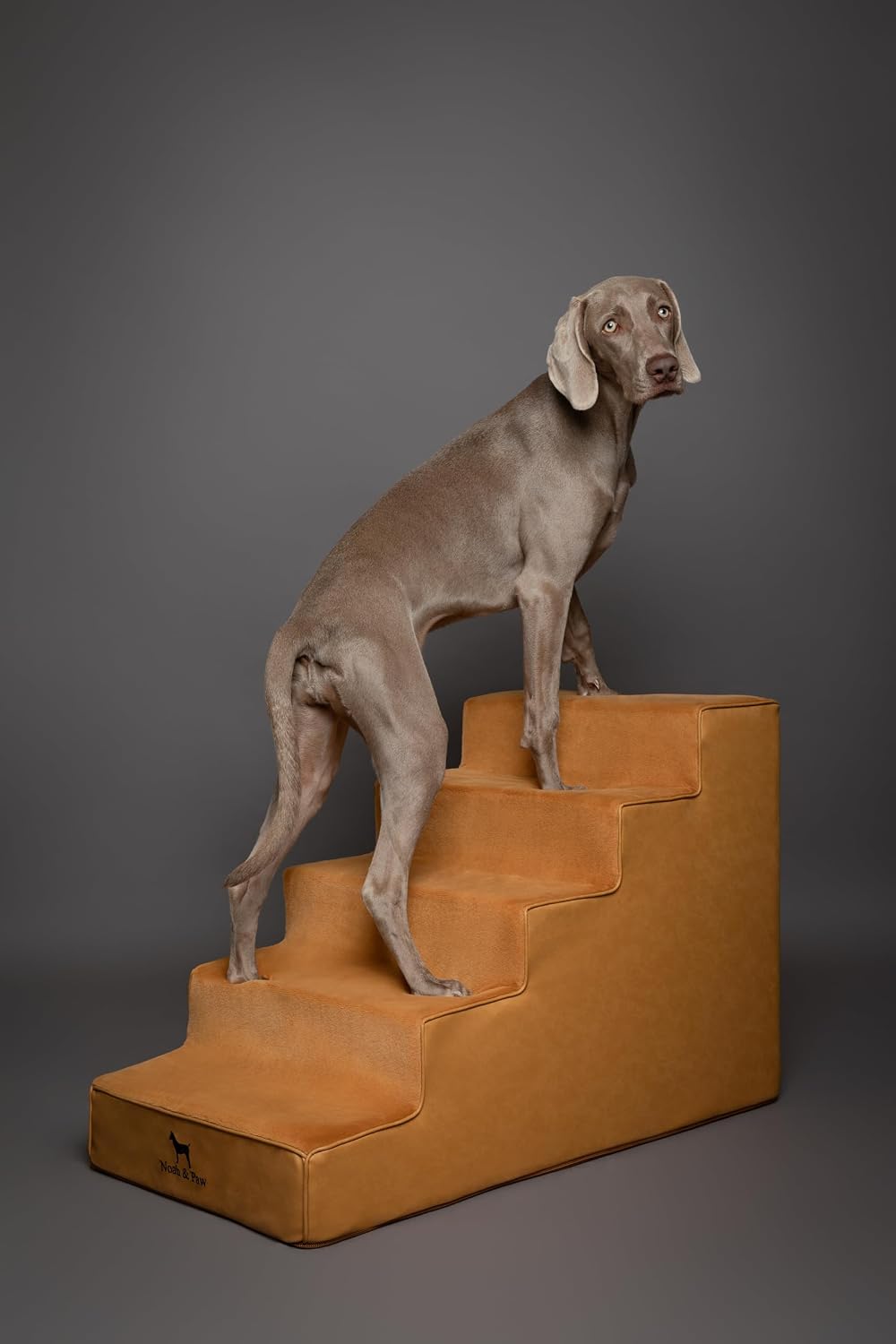 Noah & Paw Dog Stairs for Large Dogs, Up to 150lb, Wide Dog Ramp for Bed