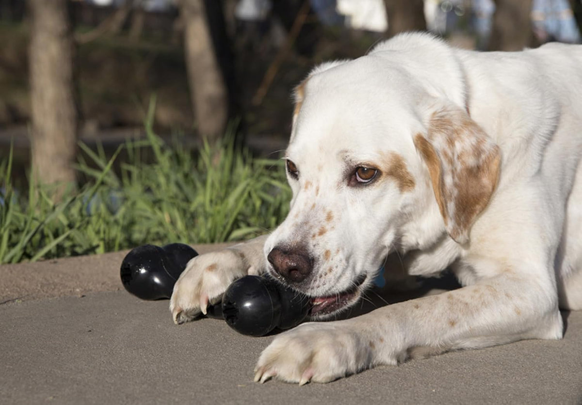KONG Extreme Goodie Bone, Durable Natural Rubber, Black, for Medium Dogs | Made from KONG's Most Durable Natural Rubber for Power Chewers, with Goodie Gripper Ends That Hold Treats