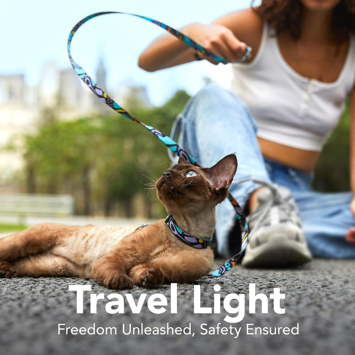 PetThem Adjustable Cat Harness and Leash Set Escape Proof (Butterfly Magic)