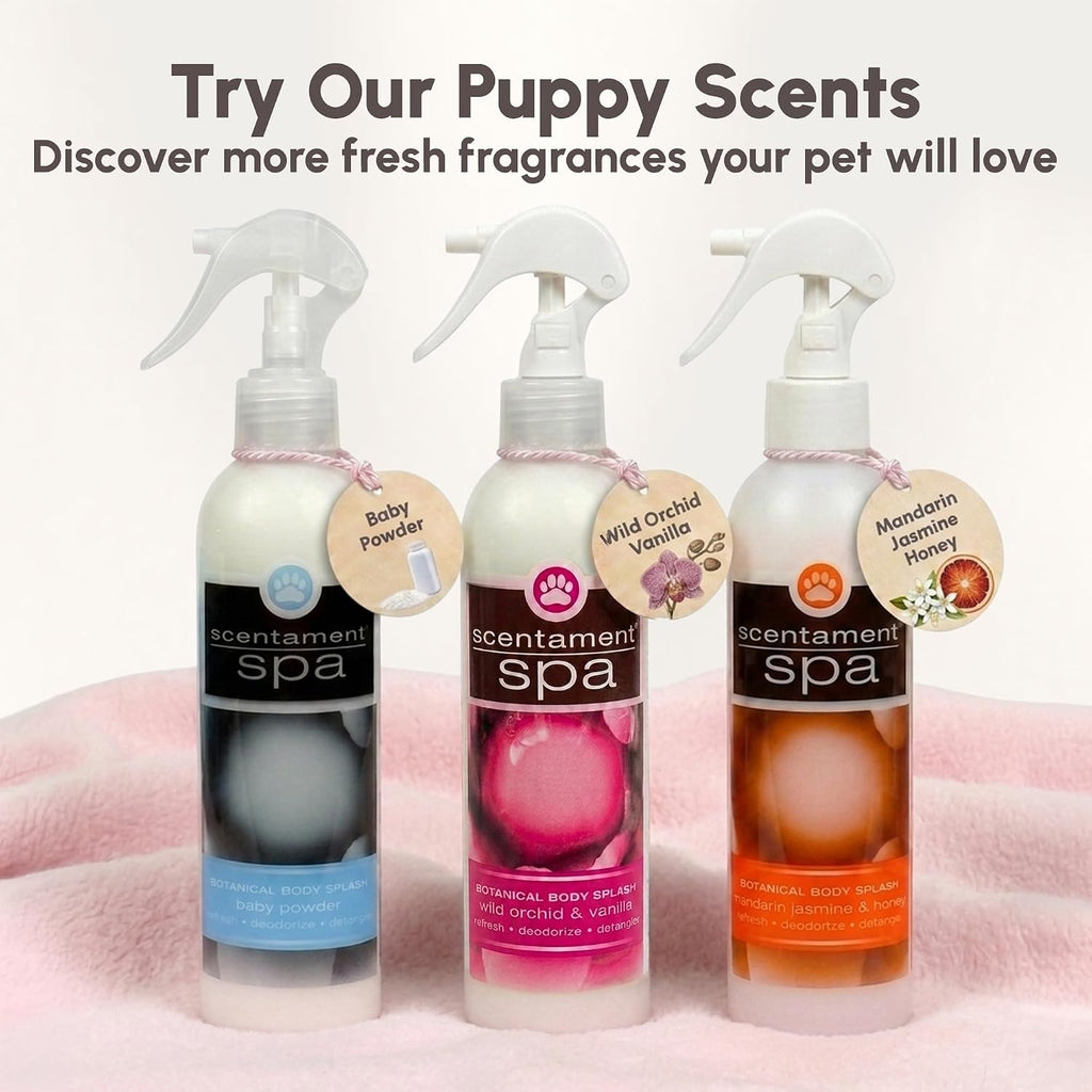 Best Shot Scentament Spa Botanical Body Splash, Detangler Spray, Body Spray for Pets, Cat and Dog Cologne Spray, Mandarin Jasmine Honey, 8 Oz.
