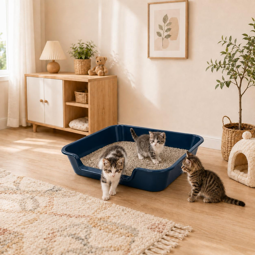 Extra Large Low Entry ABS Cat Litter Box, Blue, 24" L x 20" W, 1 Pack | Durable low entry litter box, non-stick, odor-free, ideal for seniors, kittens, rabbits, large cats and multi-pet homes.