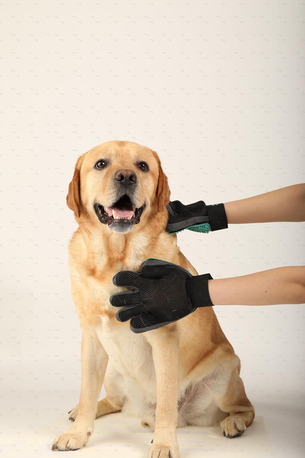 Pet Grooming Gloves for Dogs and Cats, 2 Pack Left and Right Hand Deshedding Gloves with Silicone Tips, Green