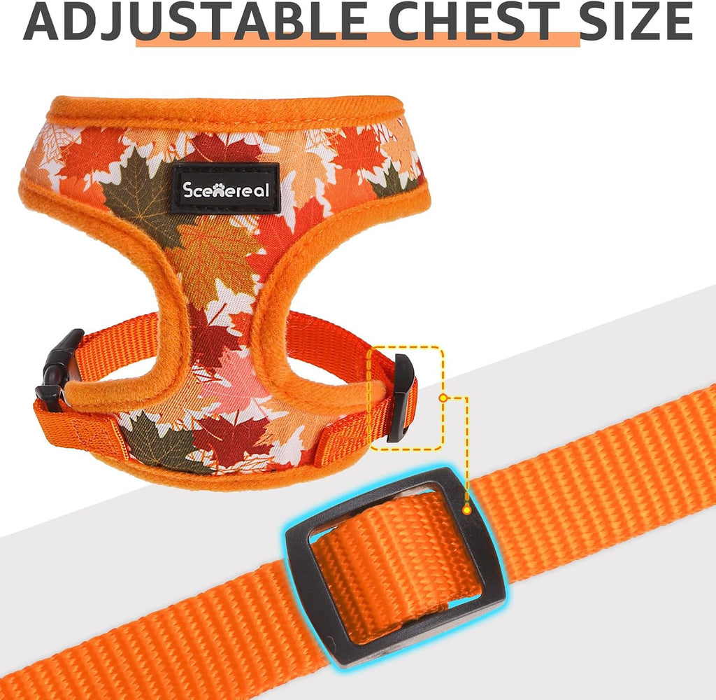 SCENEREAL Fall Dog Harness and Leash Set for Small Dogs