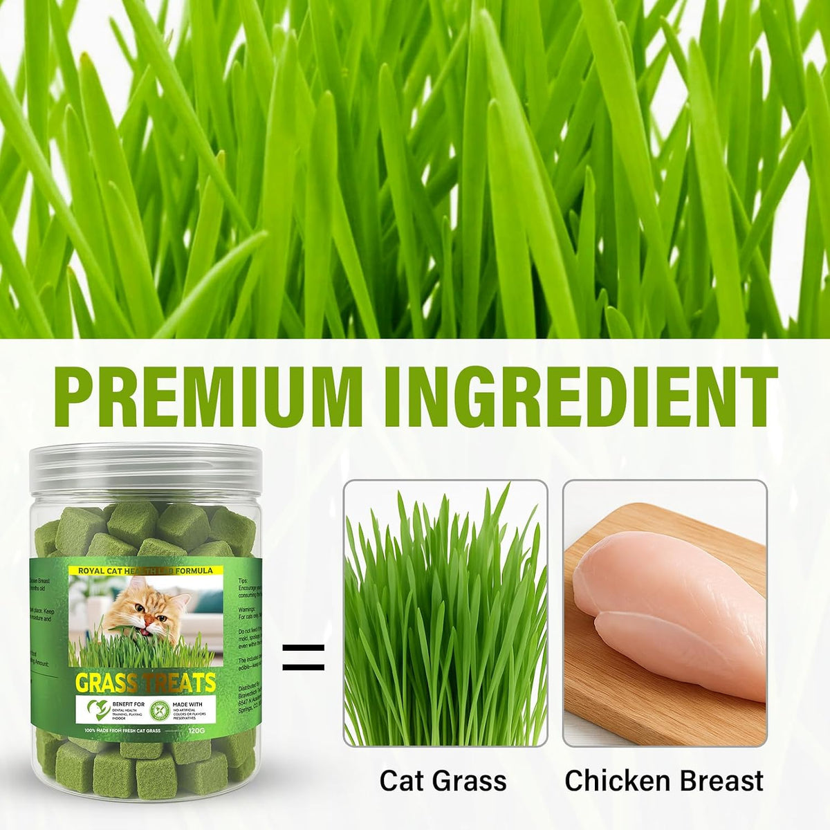 AiRunTech Cat Grass Treats, Cat Grass for Indoor Cats, 120g
