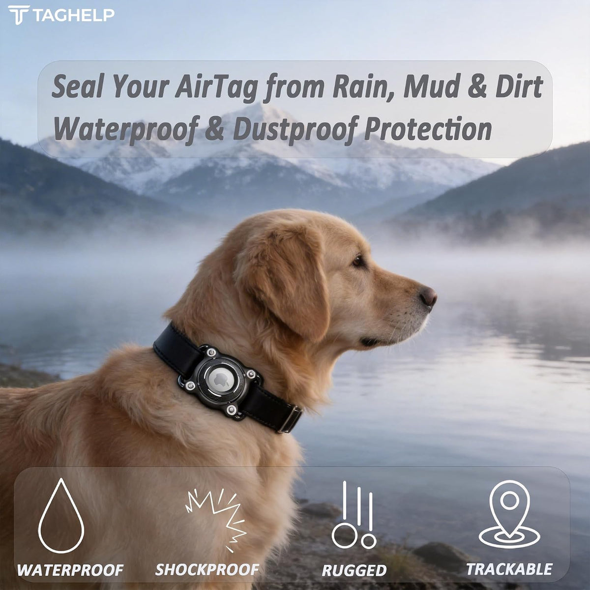 2-Pack,Waterproof AirTag Holder for Dog Collar(Black - White Accent)