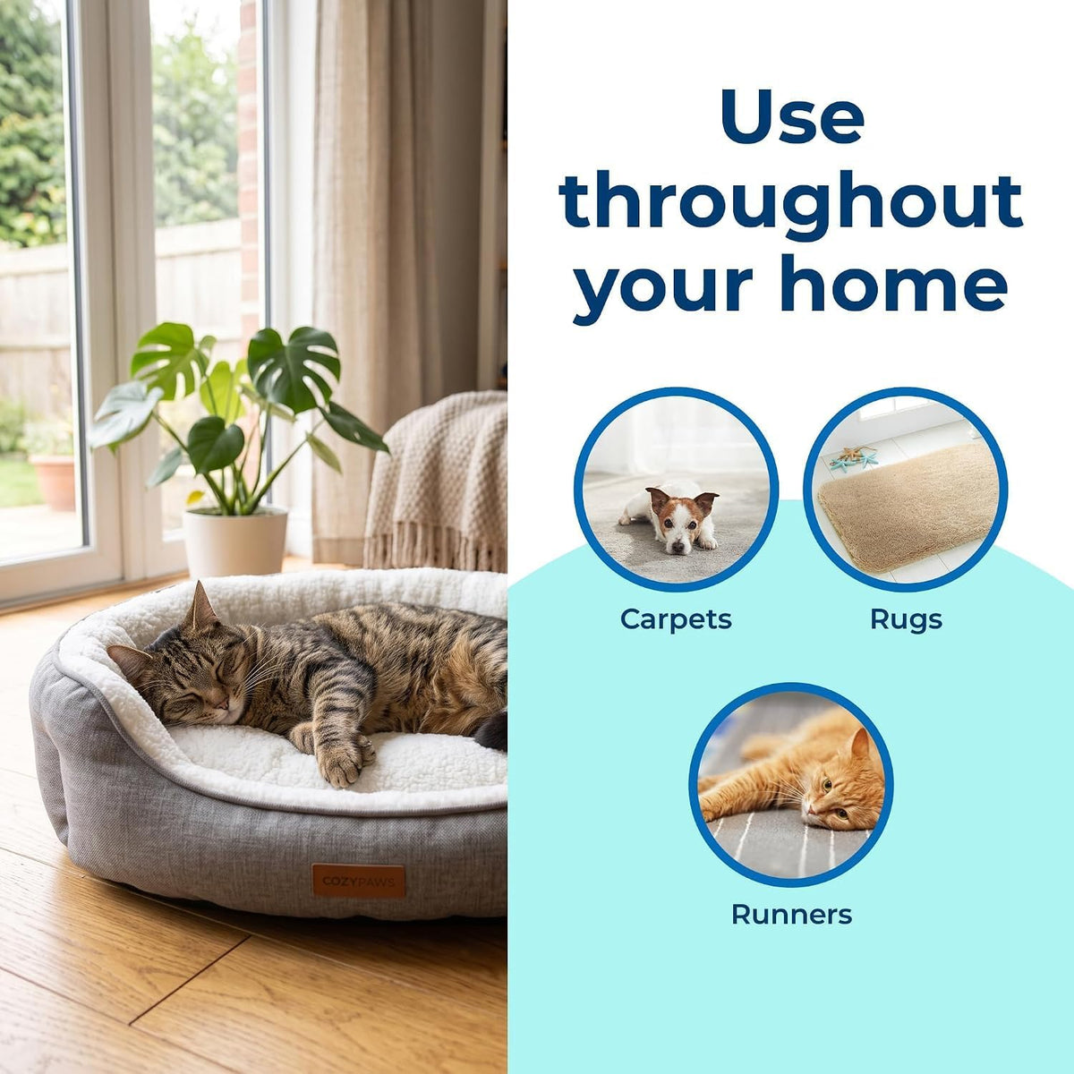 Carbona Oxy-Powered Pet Stain & Odor Remover, 2-in-1 Foaming Carpet Cleaner with Built-In Brush, Targets Urine, Vomit, Mud Messes from Dogs, Cats, 13.5 Oz (Pack of 3)