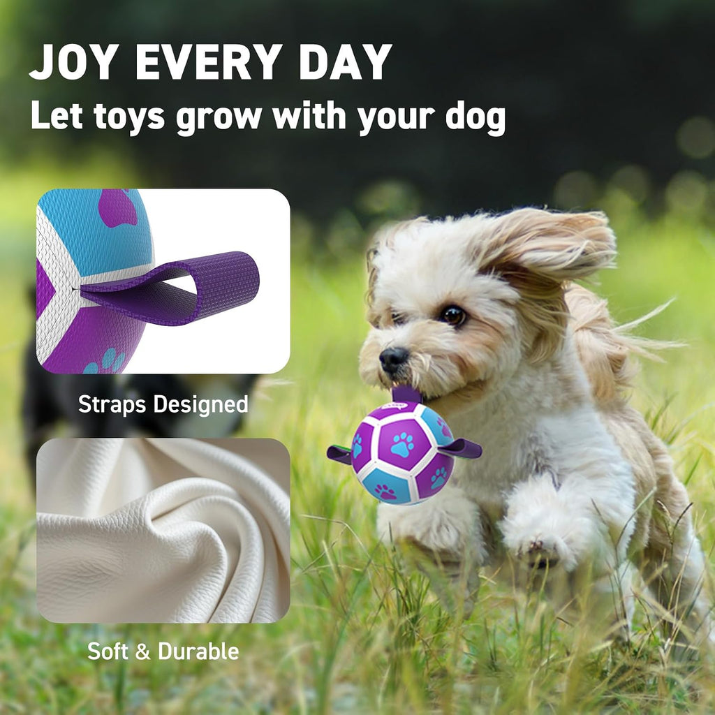 QDAN Small Dog Toys, Puppy Balls, Dog Balls with Straps for Small Breed | 3.5 Inch Small Soccer Ball for Dogs, Puppy Toys for 3-15 lbs Dogs, Dog Birthday Gift, Herding Ball for Small Dogs, Purple