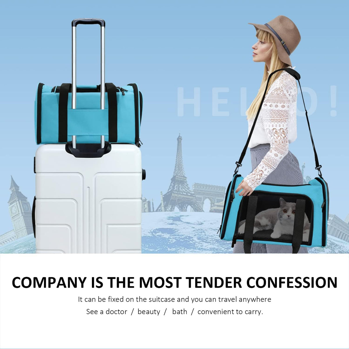 Henkelion Pet Carrier for Small Medium Cats Puppies up to 15 Lbs, Airline Approved Small Dog Travel Puppy Carrier Soft Sided, Collapsible - Blue (Pack of 2)