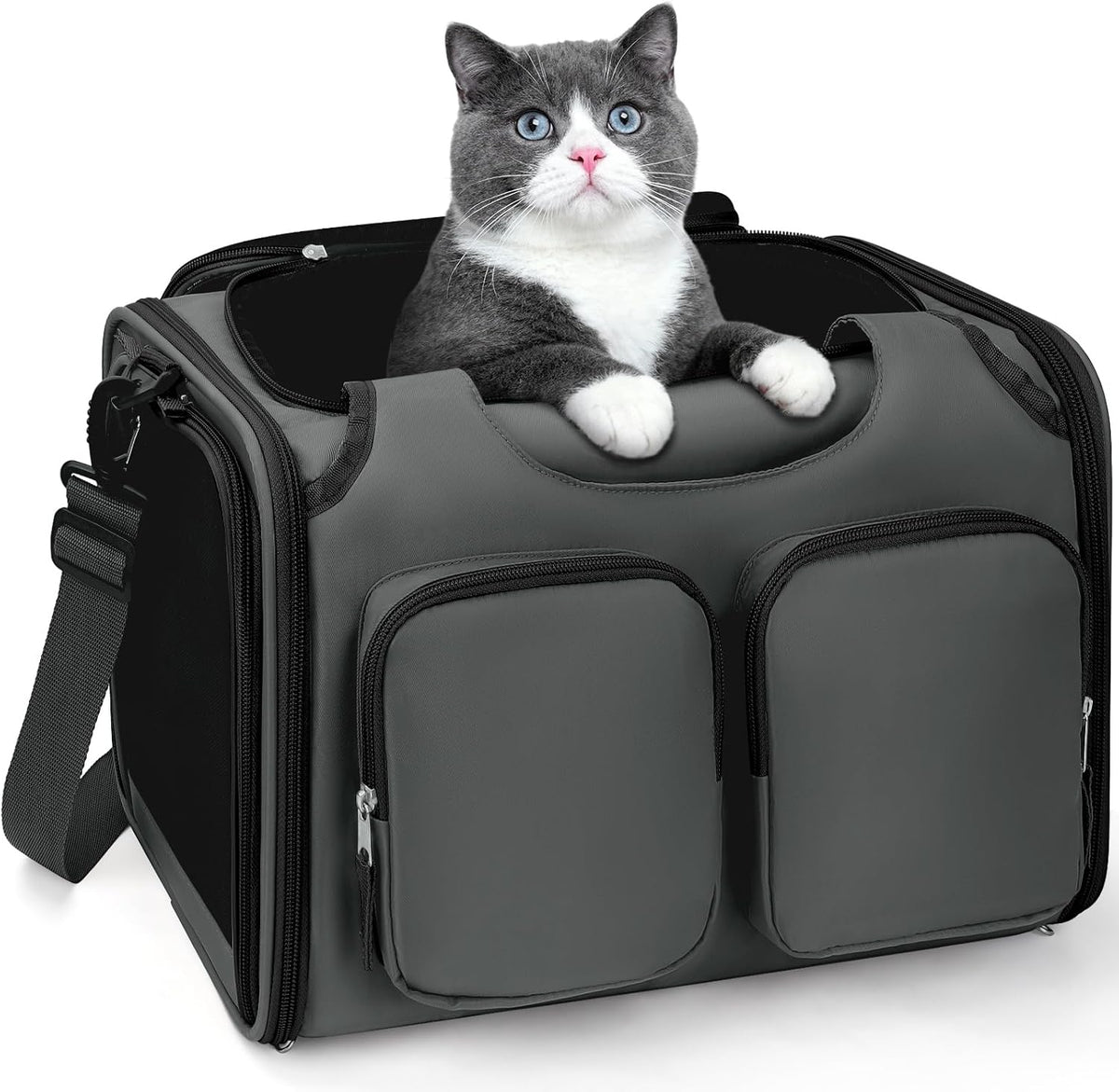 Dog Cat Carrier Airline Approved Collapsible Soft-Sided Pet Travel Bag