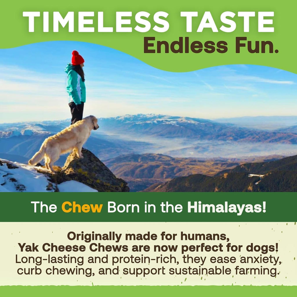 EcoKind Yak Cheese Himalayan Dog Chews, Yak Chews for Medium Dogs, 12 Bones