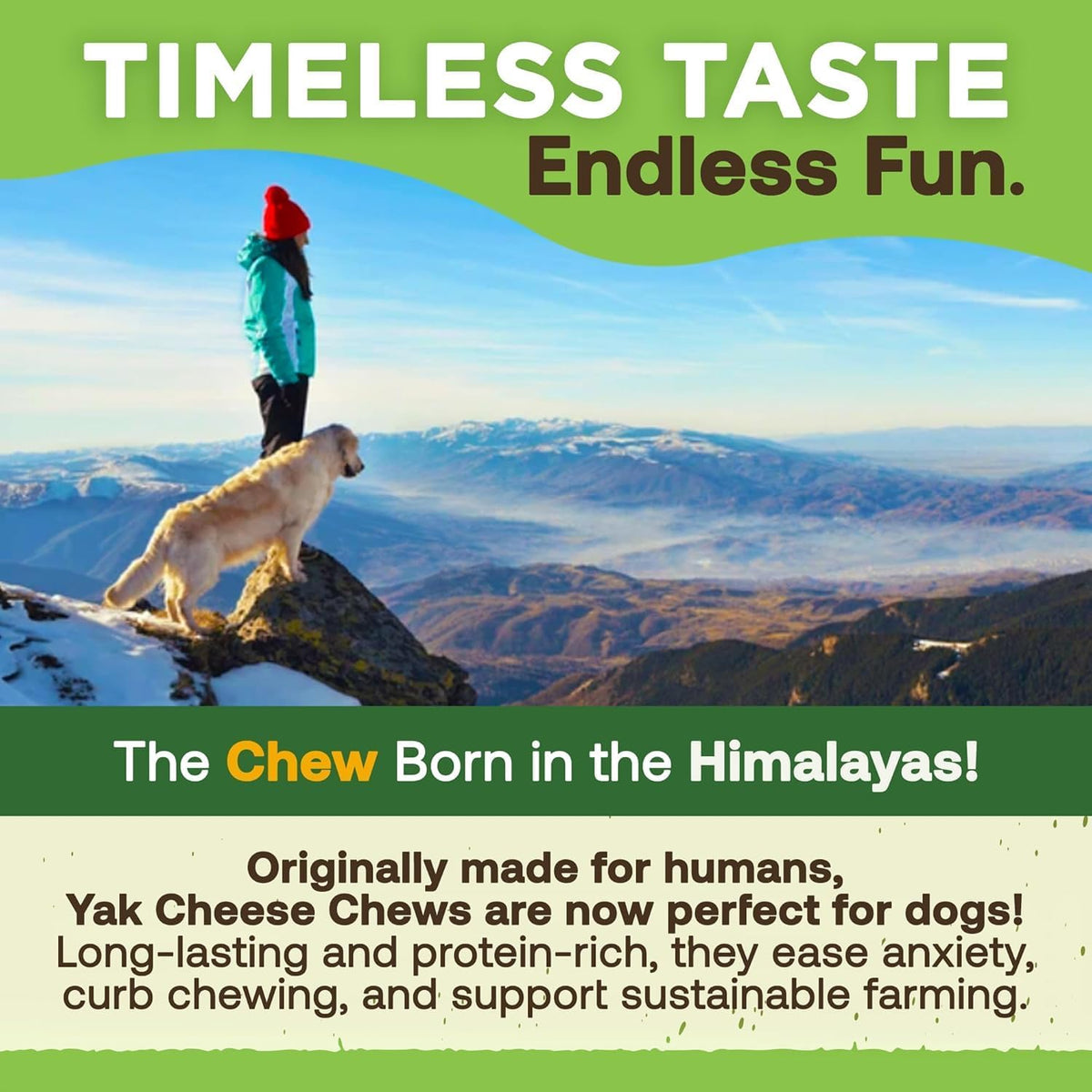 EcoKind Yak Cheese Himalayan Dog Chews, Yak Chews for Medium Dogs, 12 Bones