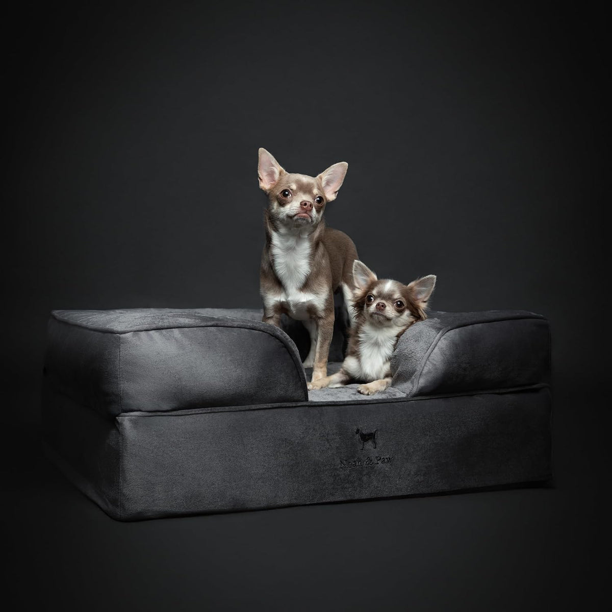 NOAH & PAW Dog Bed, Orthopedic Memory Cooling Foam (2X Base) 28x23x11in