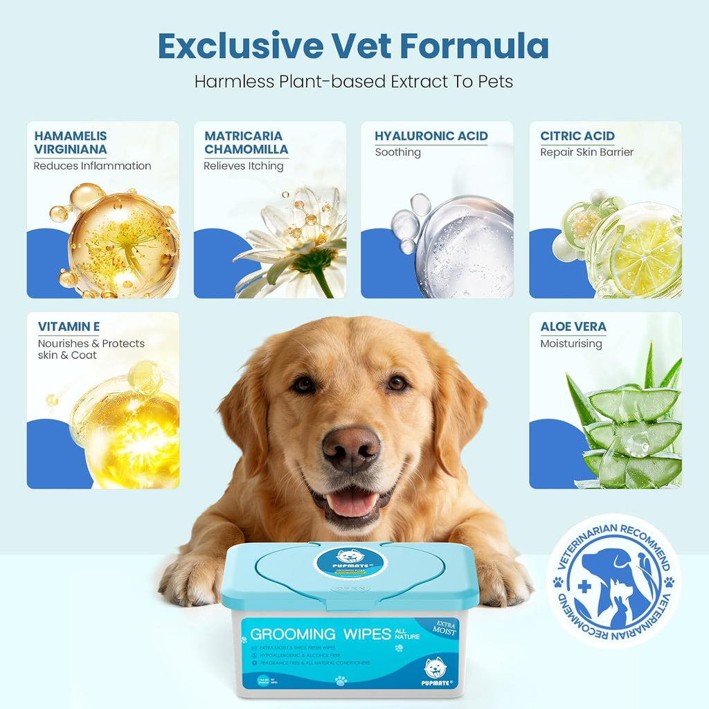 Pet Wipes for Dogs & Cats, Extra Moist & Thick Grooming Puppy Wipes with 100 Fresh Counts, Aloe Vera/Nature 