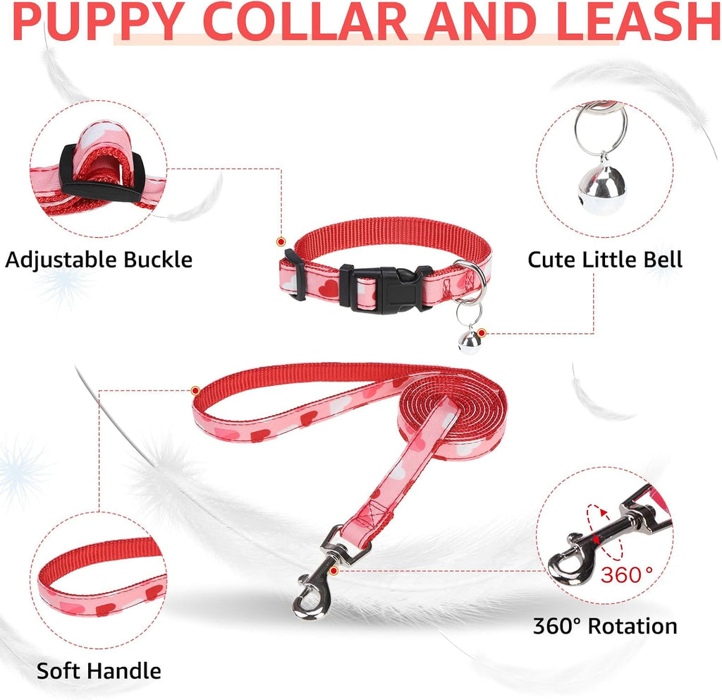 SCENEREAL Valentines Small Dog Harness Collar and Leash Set,Step-in No Pull