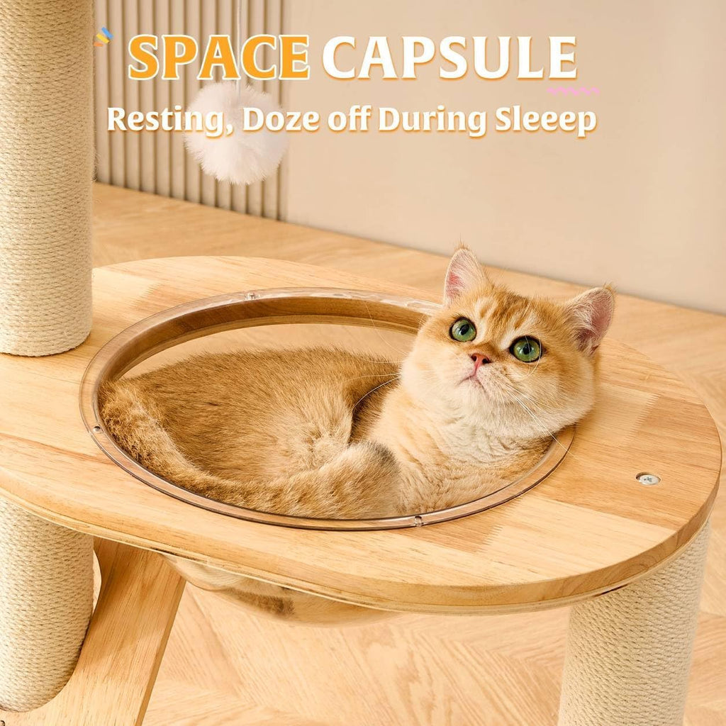 HITTITE Solid Wood Cat Tree Tower with Scratching Post, 37.8 Inches Tall Cat Towers with Scratching Board and Scratcher Ball, Modern Cat Tower With Space Capsule and Removable Top Bed for Indoor Cats.